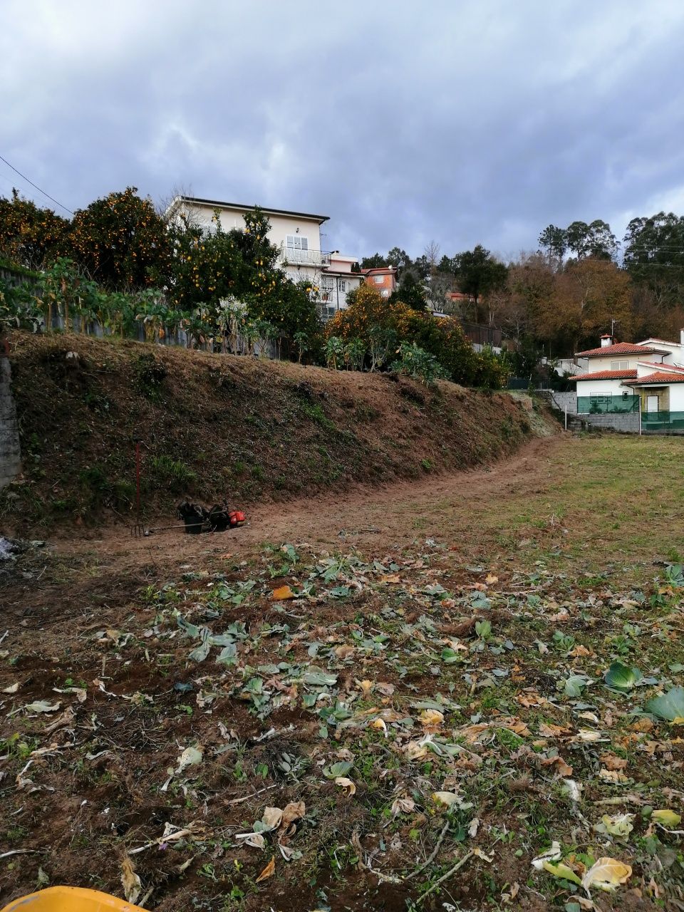 Limpeza de terrenos