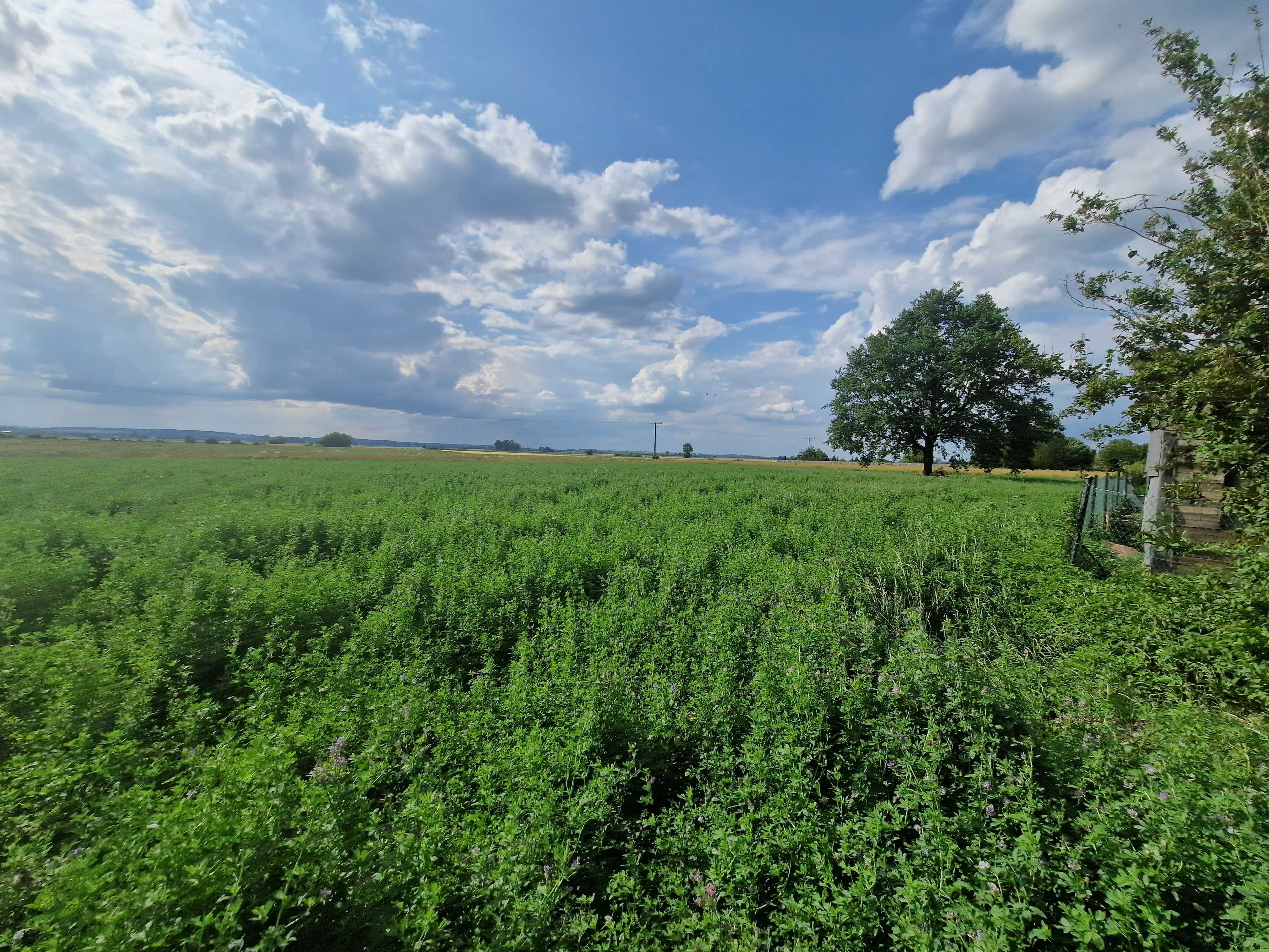 Działka na sprzedaż Kwidzyn Podzamcze
