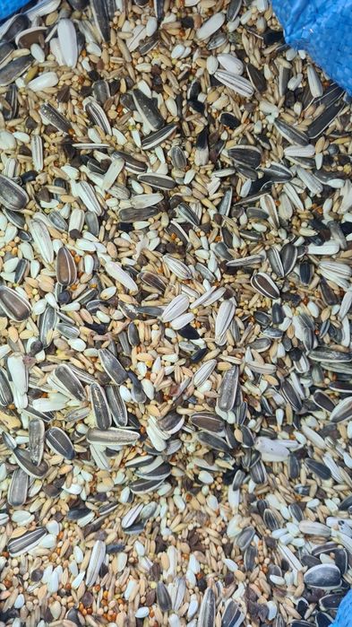 Mieszanka dla papug średnich i dużych lux DN