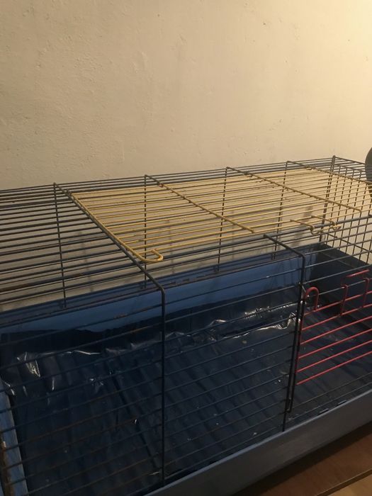 Duża klatka dla królika, świnki morskiej lub innego zwierzątka