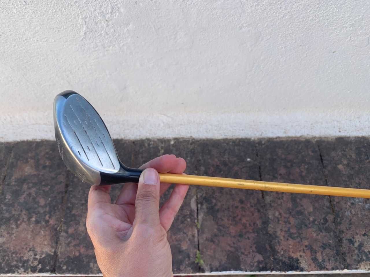 Golfe: Drives Nickent, Progen e Ram