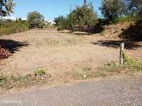 Terreno de cultivo em Repeses (Viseu)