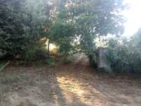 Vendo terreno para construção Póvoa de Bodiosa
