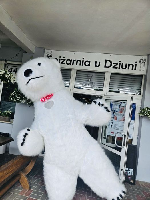 Bialy Miś i Panda wynajem  na urodziny komunie chrzciny zabawy festyn