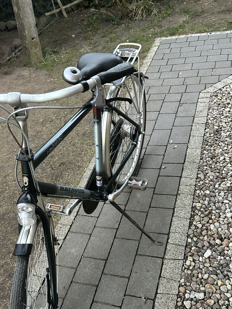 Rower Batavus Adagio