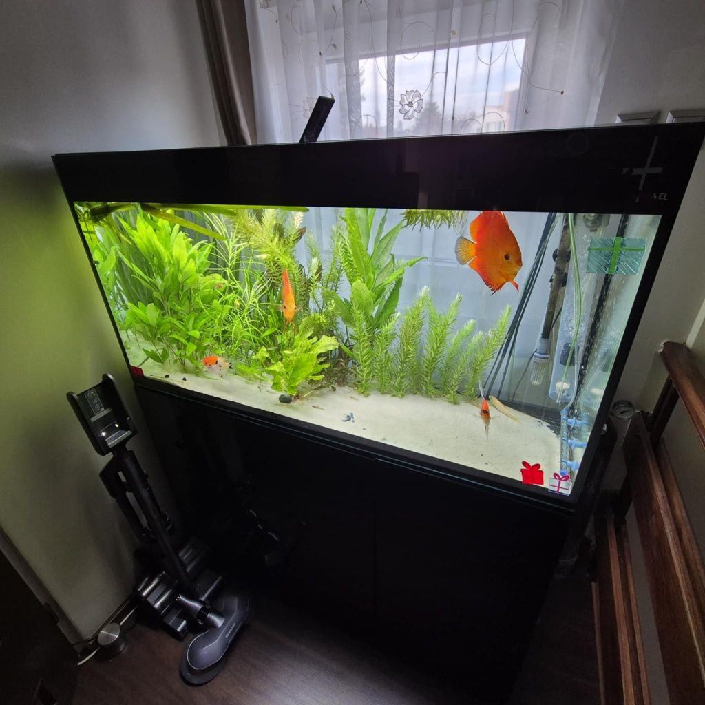 Akwarium Aquel 120 ok. 300litrow z życiem