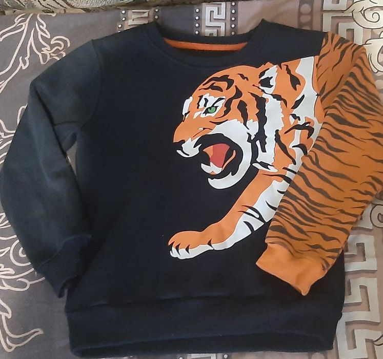 Світшот теплий на хлопчика