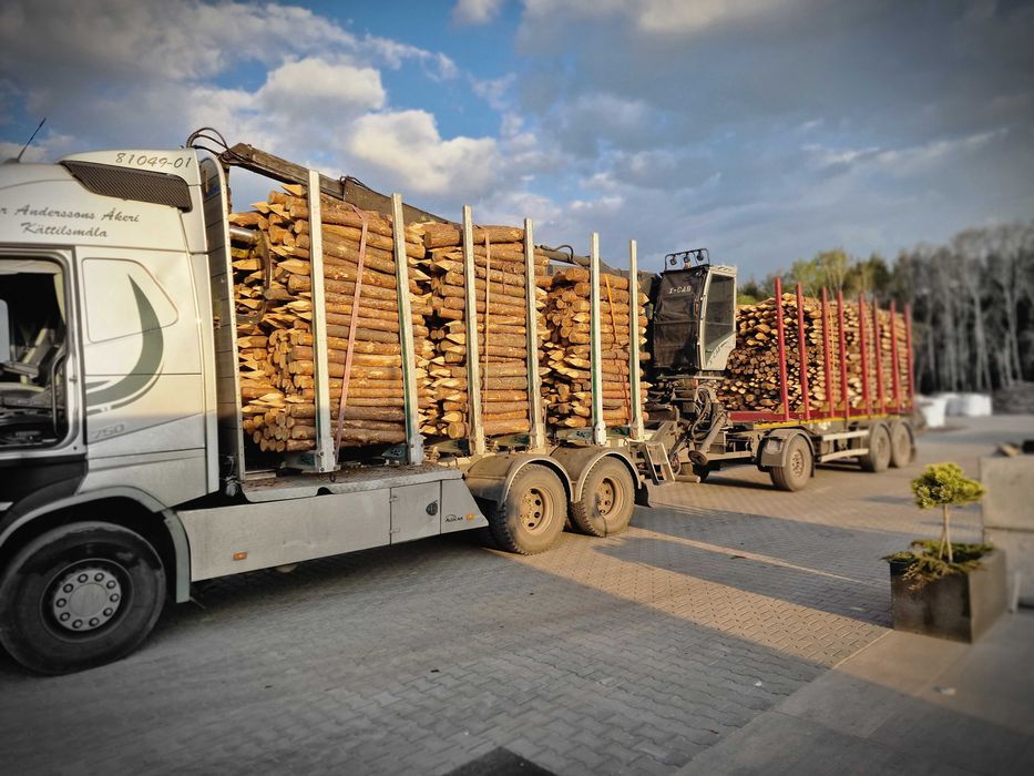 PALIKI MELIORACYJNE do faszyny i palisady, kołki, pale L=0,8 - 3,0m