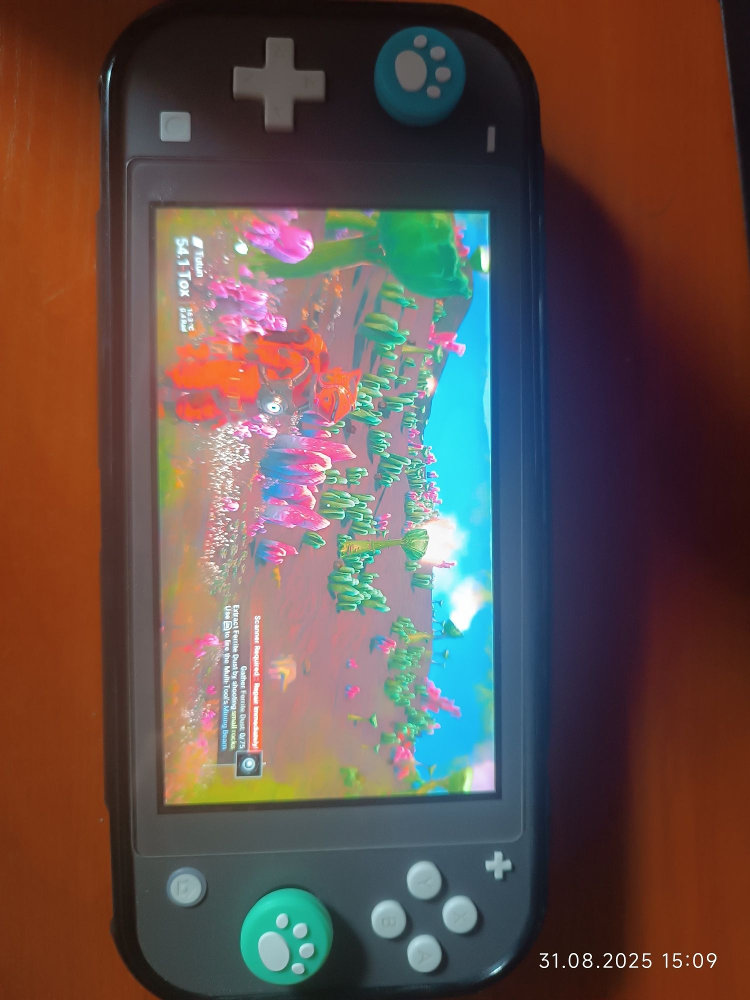 Nintendo switch lite