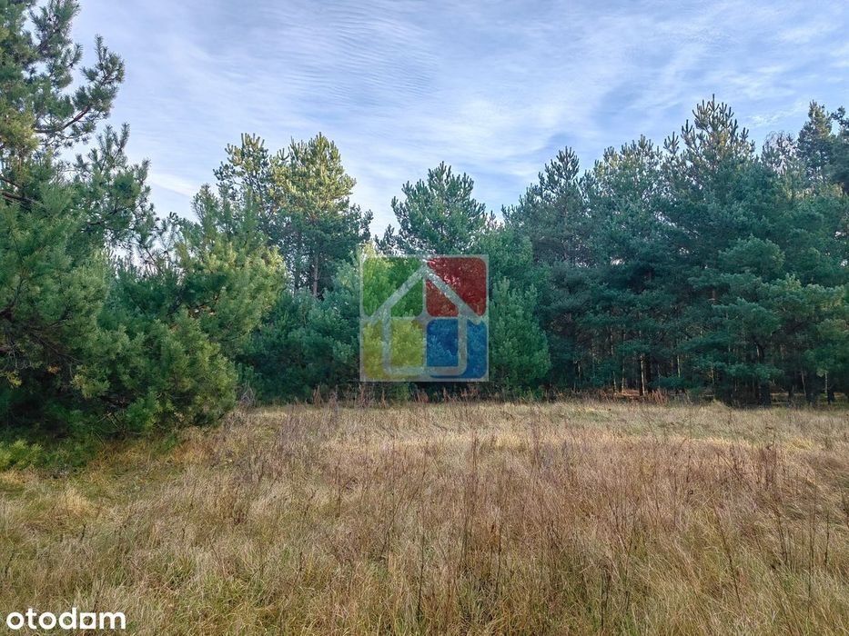Blisko lasu i rzeczki – atrakcyjna działka pod zabudowę jednorodzinną!