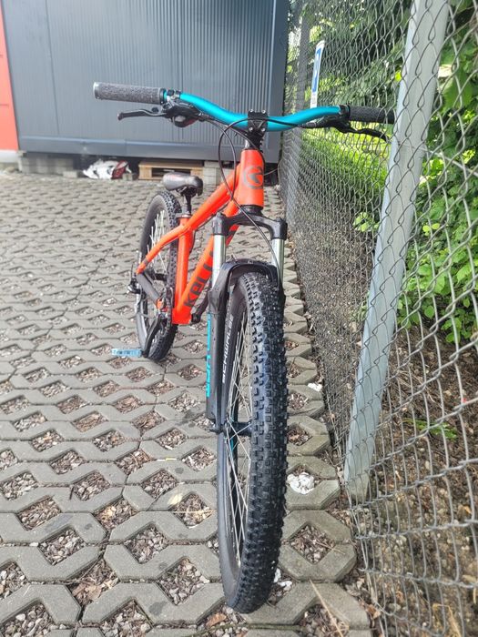 rower kellys whip 10