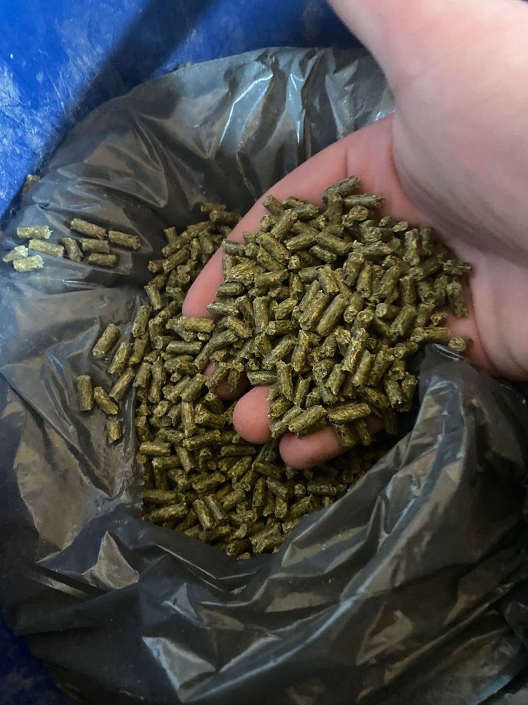Sprzedam klatkę z szynszylem lub oddzielnie + Dodatki