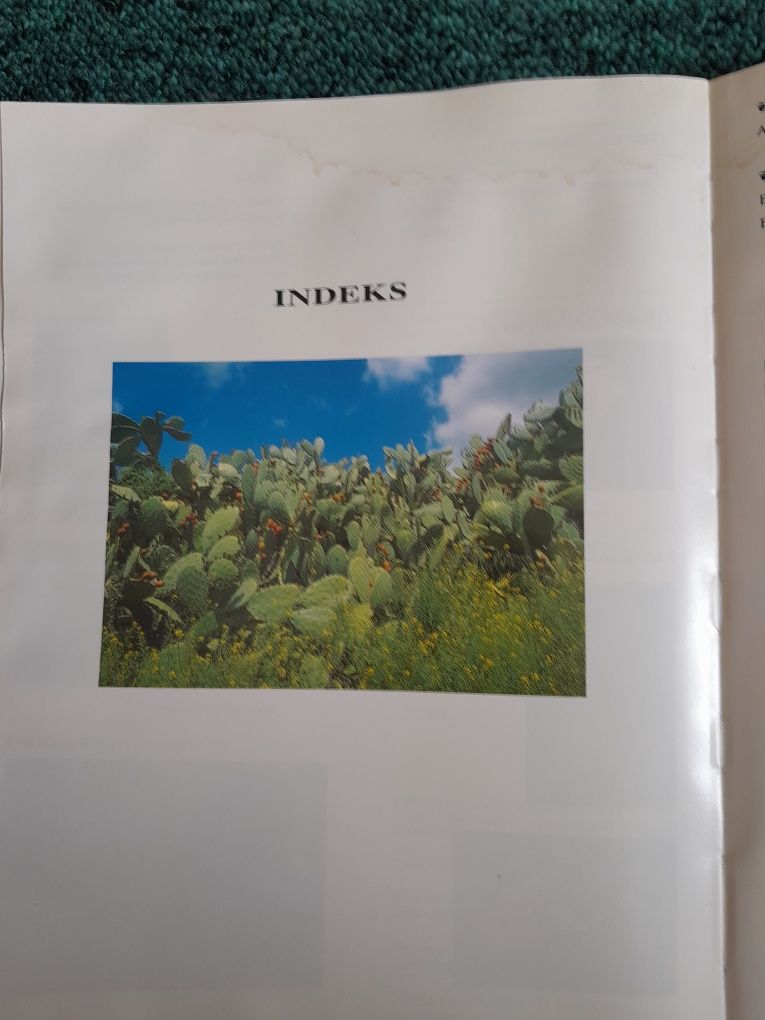 Książka  ,,Ziemia Święta,,