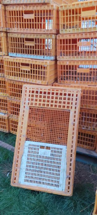 Kraty/skrzynie do przewozu kur