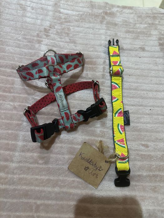 Obroża kudlatyart i szelki quard amiplay XS mały pies