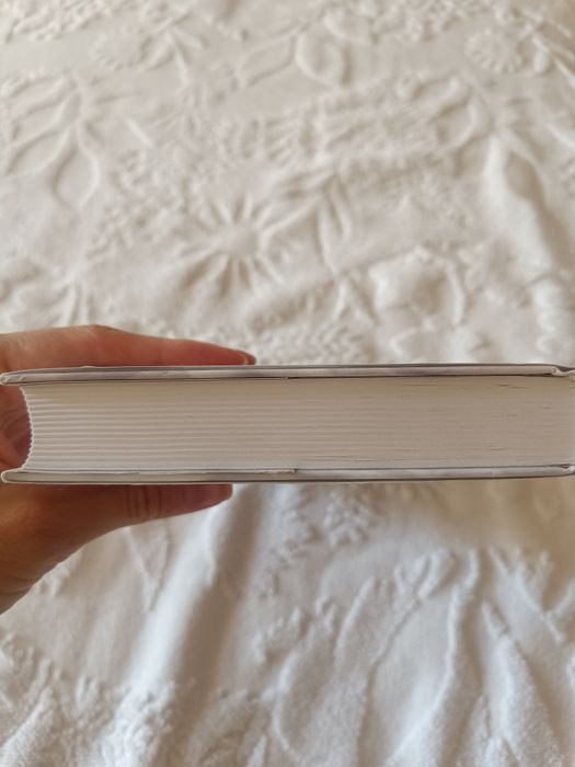 Фран Тилье. Последняя рукопись.