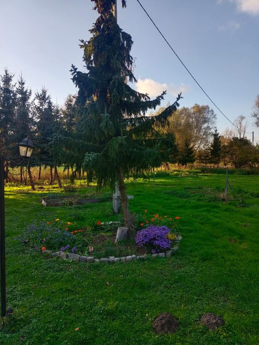 Piękna działka budowlana z warunkami zabudowy w Janowie, 8 km od E-ga