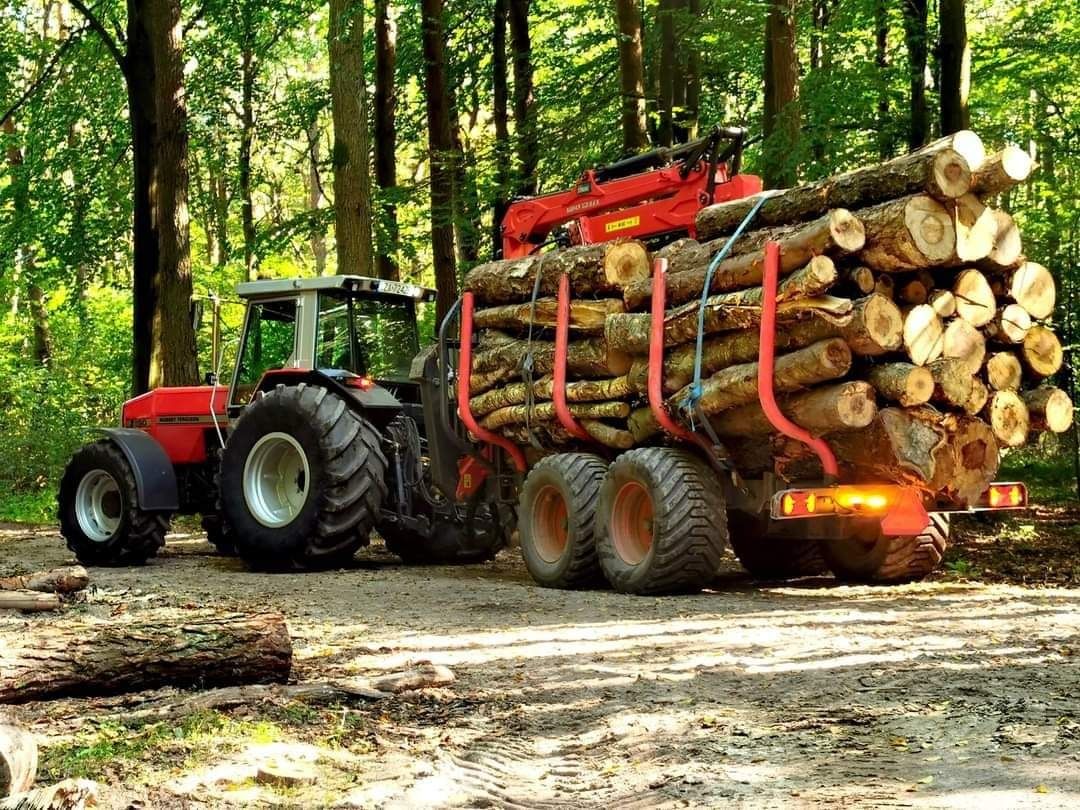 Buk, grab, dab i inne gatunku Drewno opałowe kominkowe