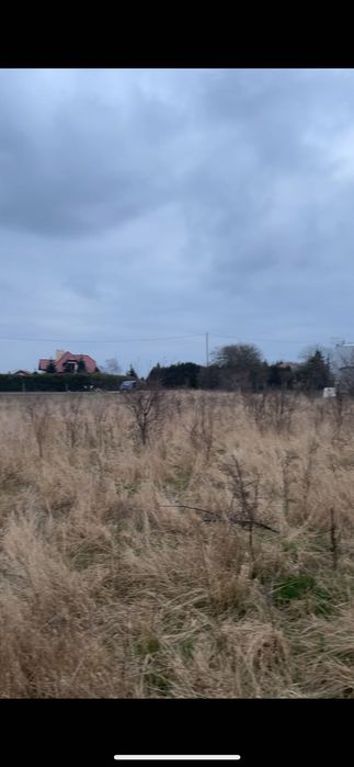 Czyszczenie działek, wycinka drzew,itp…