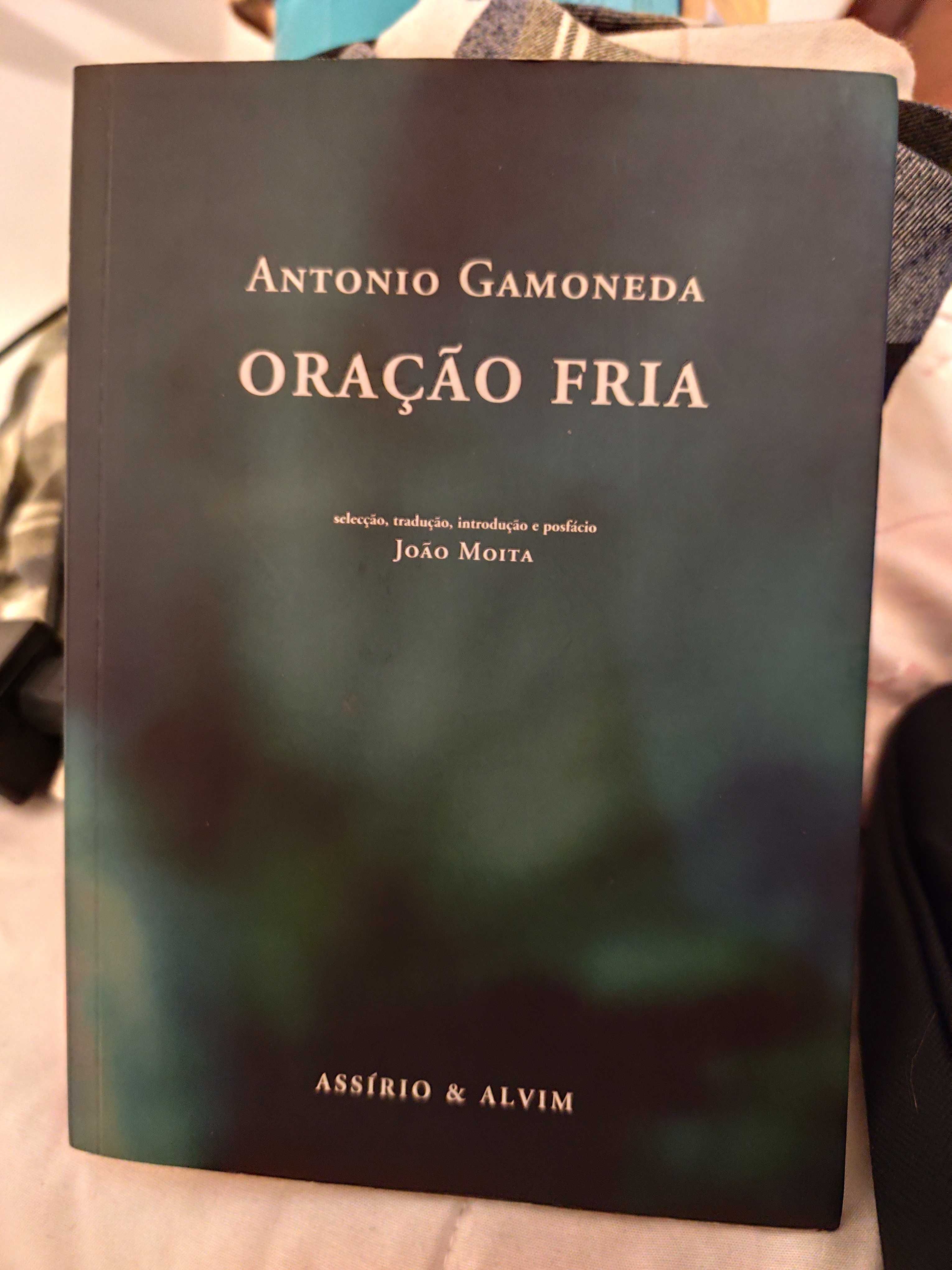 Antonio Gamoneda - Oração Fria (Poesia, bilingue)