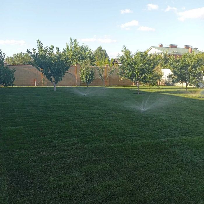 Озеленення території, укладання  рулонного газону Дніпро