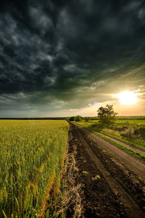 Продажа печатных фотографий А2 А3 .