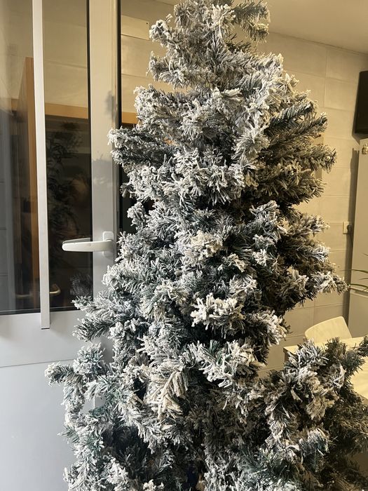 Arvore de Natal da loja Homa 2,10m.