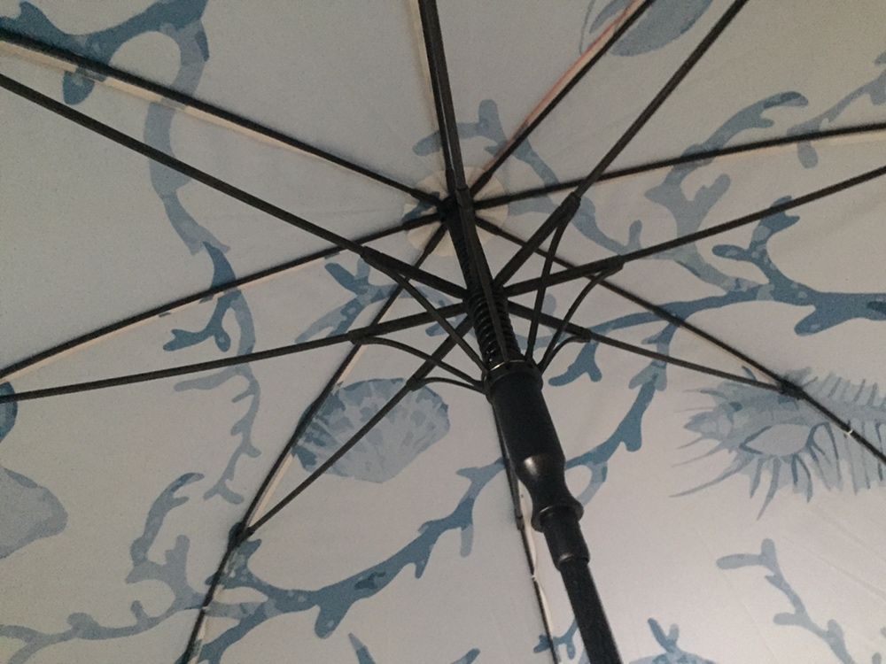 Зонт фирменный