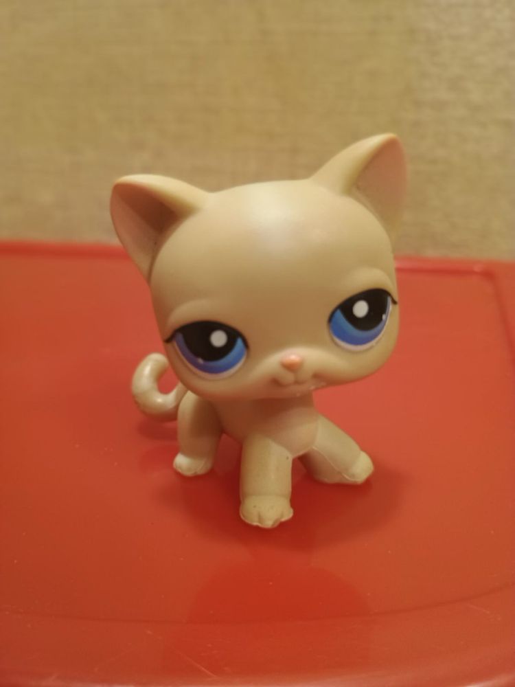 Littlest pet shop kot shorthair Pop #228 figurka LPS cat shorthair