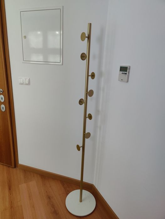 Bengaleiro dourado novo