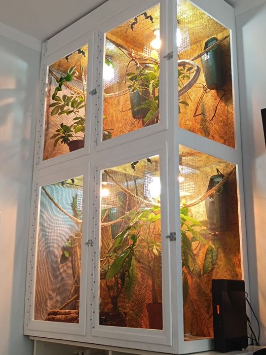Sprzedam terarium