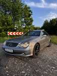 Mercedes CLK W209 Avantgarde 2.7 CDI Automat 2003r