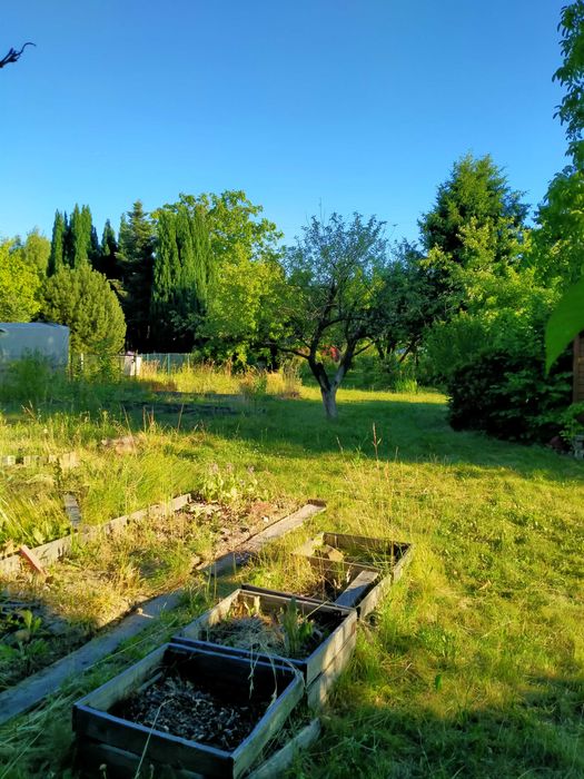 Sprzedam działkę ROD w Krzeszowicach