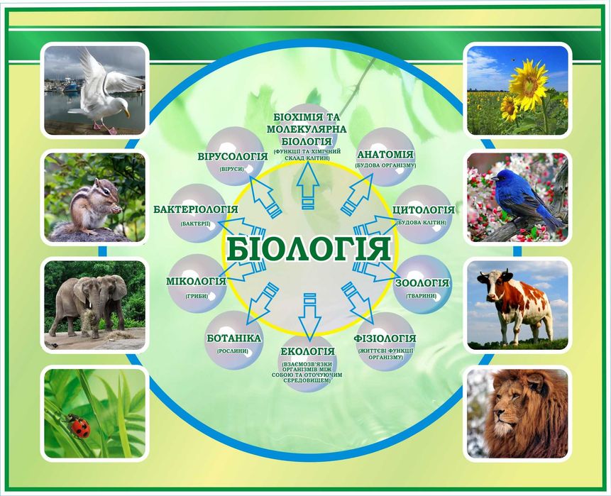 стенди для школи