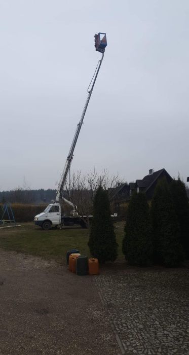 Wycinanie podcinanie drzew