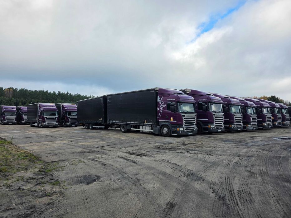 Scania R410 zestaw przejazdowy 2017 WIELTON