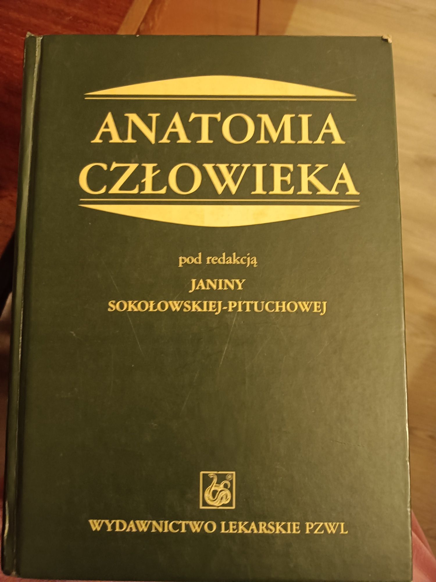 Anatomia człowieka pod Red. J. Sokołowskiej
