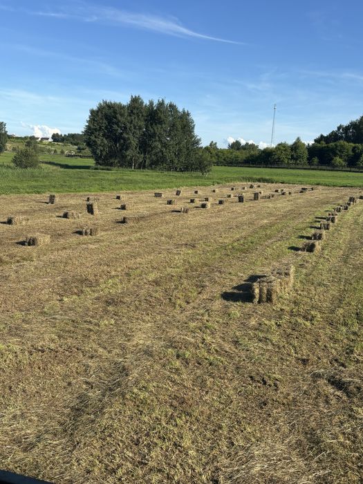 Swieże Siano w kostkach 2025