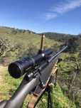Mira batida Kahles helia c 1,1-4x24 encaixe leupold