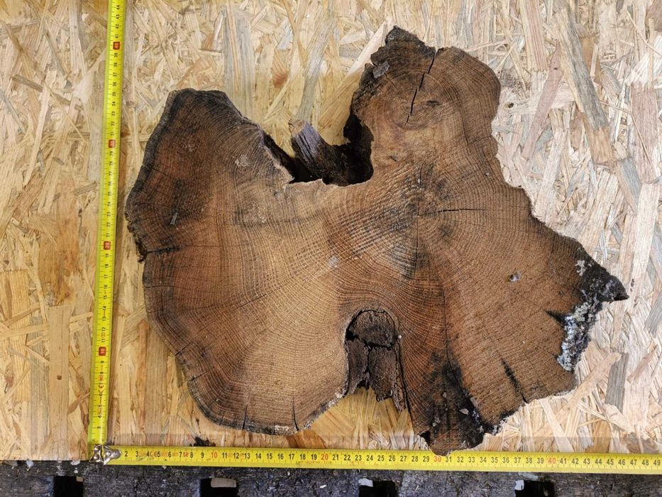 plastry plaster drewna akacja