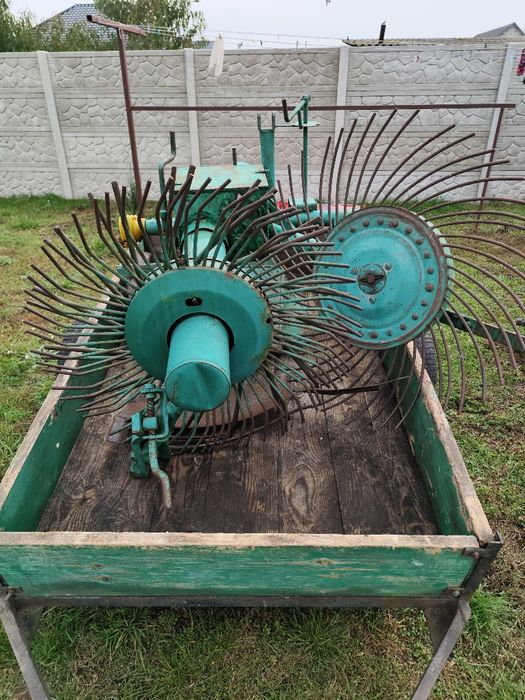 Картоплекопачка німецька