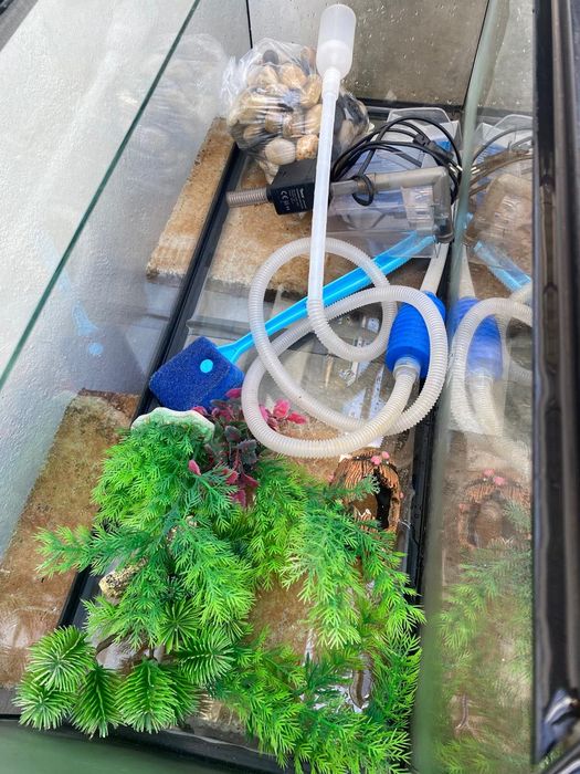 Aquário + equipamentos