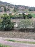 Terreno  para venda