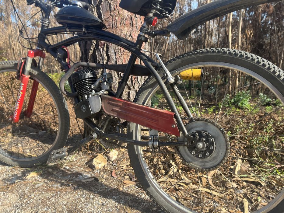 Bicicleta motorizada