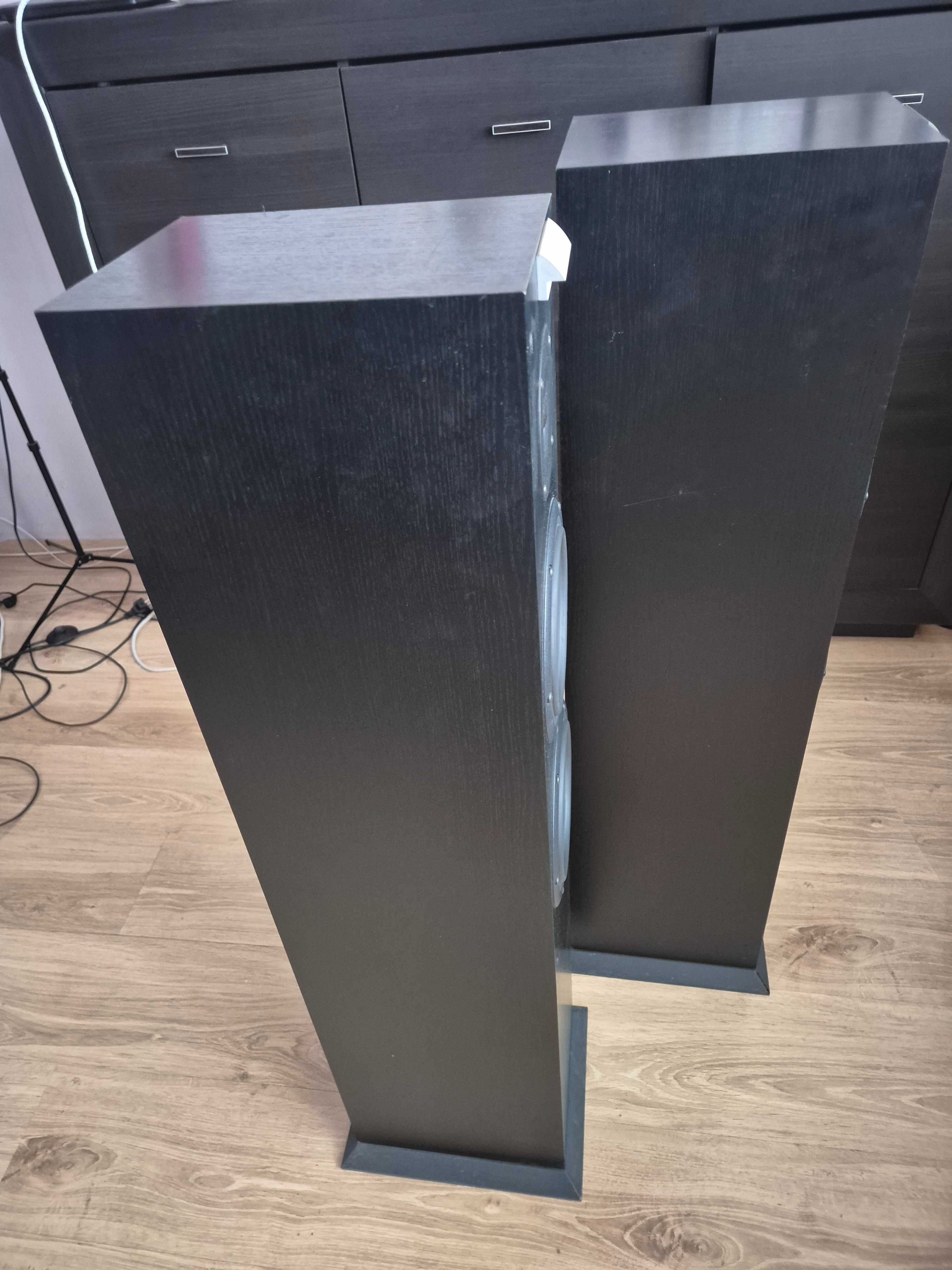 Audiovector C-3 kolumny podłogowe.Cena za komplet.