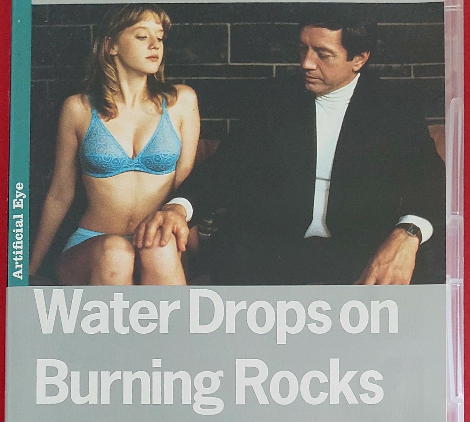 Water Drops on Burning Rocks