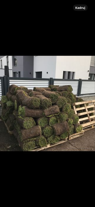 Łazienki , panele , malowanie , ogrody