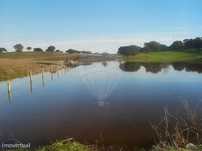 Quinta T4 para venda