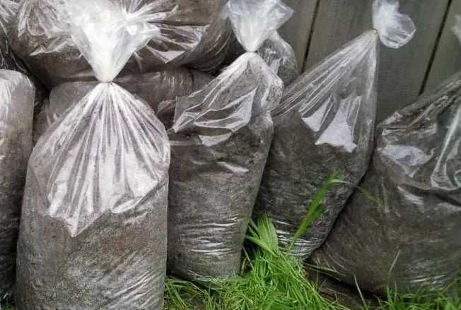 Obornik konski w workach lub luzem