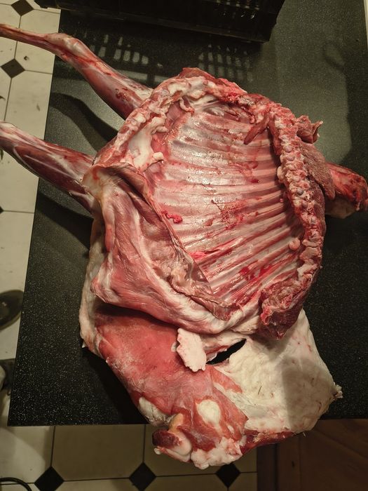 Jagnięcina świeża.